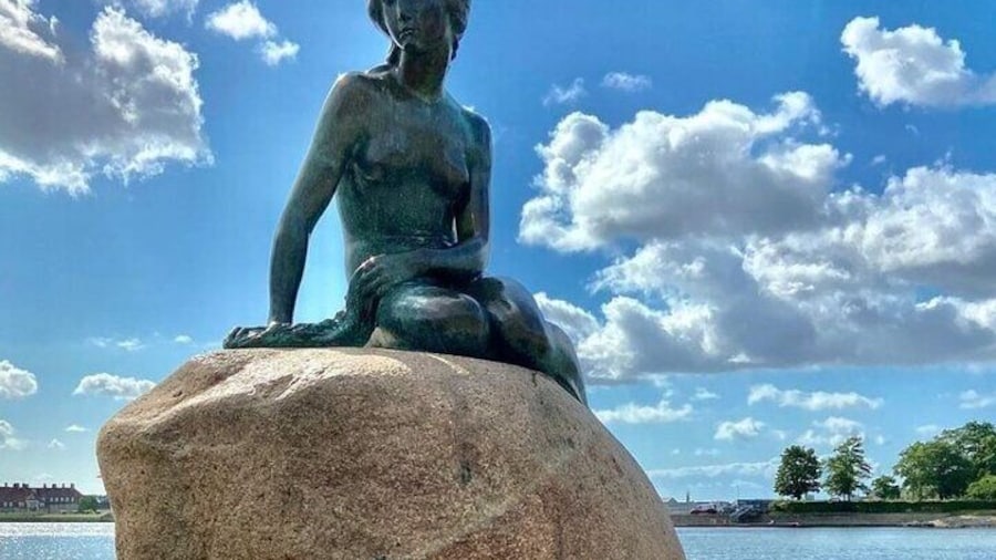 Full Day Private Walking Tour in Copenhagen