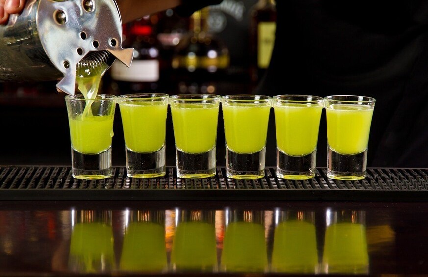 Picture 1 for Activity Czestochowa Private Vodka Tasting Tour