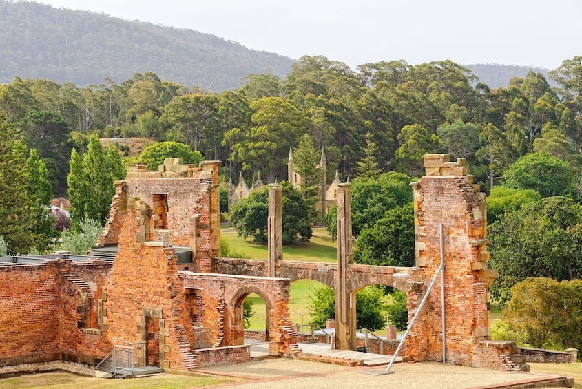 Port Arthur full-day Guided Tour with Harbour Cruise