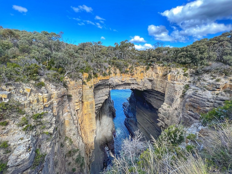 Port Arthur full-day Guided Tour with Harbour Cruise