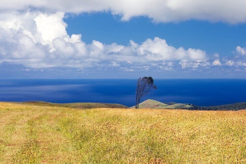Terevaka Private Tour to the highest point of Rapa Nui