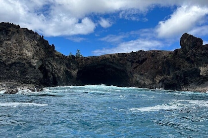 Tour to the Motus: Boat trip and snorkelling in Rapa Nui