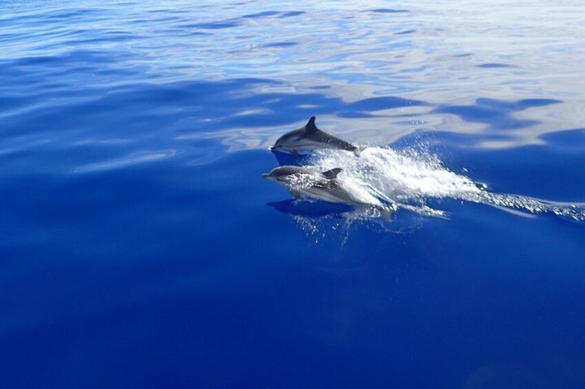 Naxos Sailing Tours on the way