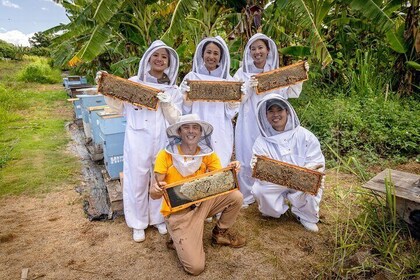 Bee Farm Ecotour en honingproeverij in Waialua, North Shore Oahu