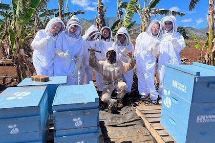 Bee Farm Ecotour and Honey Tasting in Waialua, North Shore Oahu