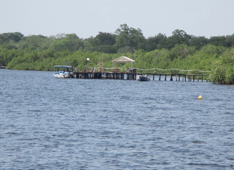 Picture 2 for Activity Day Trip to the Sine-Saloum Realm (Joal-Fadiouth-Mar Lodji)