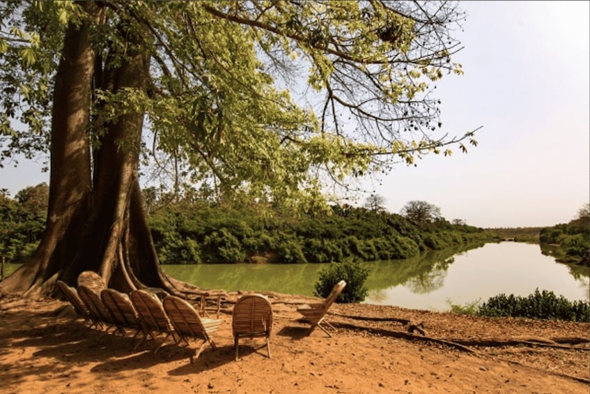 Day Trip to the Sine-Saloum Realm (Joal-Fadiouth-Mar Lodji)