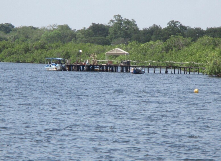 Picture 2 for Activity Day Trip to the Sine-Saloum Realm (Joal-Fadiouth-Mar Lodji)