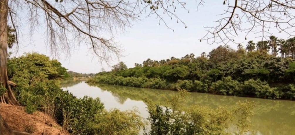 Picture 6 for Activity Day Trip to the Sine-Saloum Realm (Joal-Fadiouth-Mar Lodji)