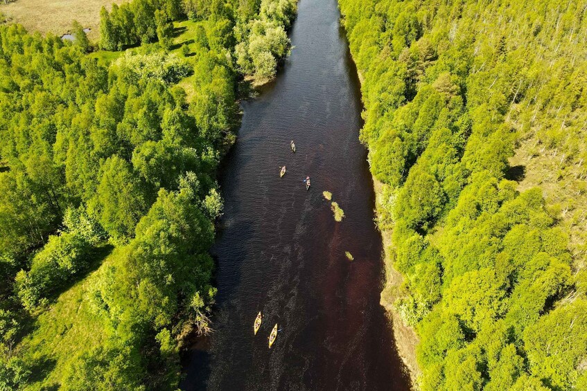 Picture 4 for Activity Rovaniemi: All-Day Canoe Adventure