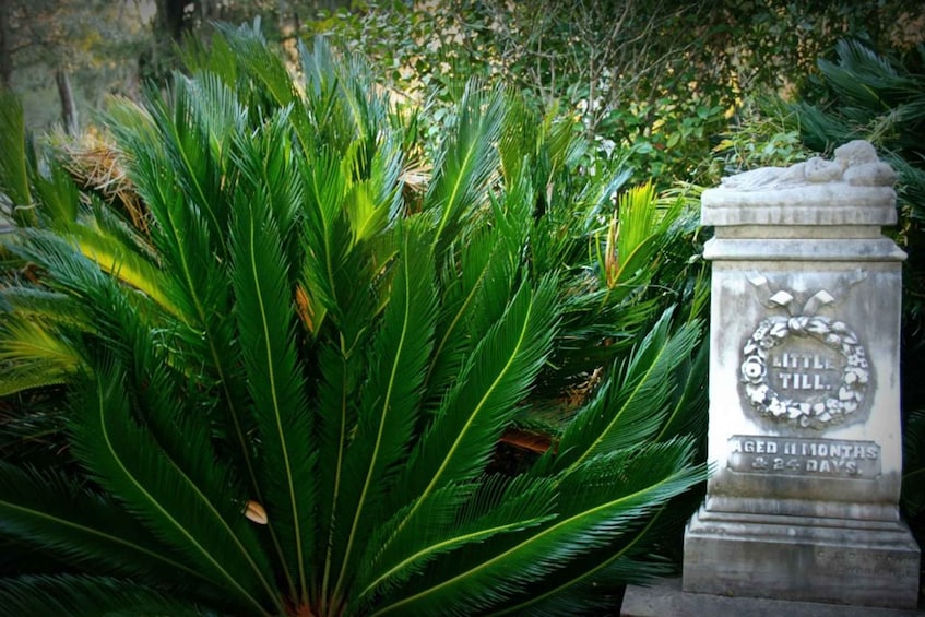 Picture 10 for Activity Savannah: Bonaventure is Forever Cemetery Tour