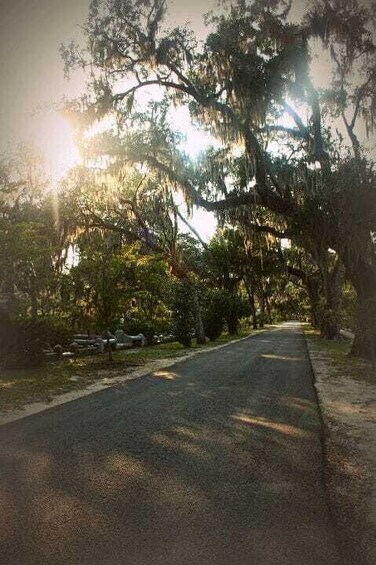 Picture 13 for Activity Savannah: Bonaventure Cemetery with Shannon Scott