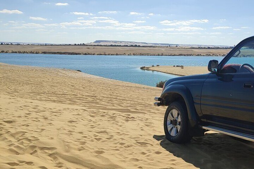 Fayoum Oasis Explore Valley of The Whales and Wadi El Rayan lake