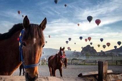 Cappadocia Horse Riding Experience Sunrise Sunset Daytime