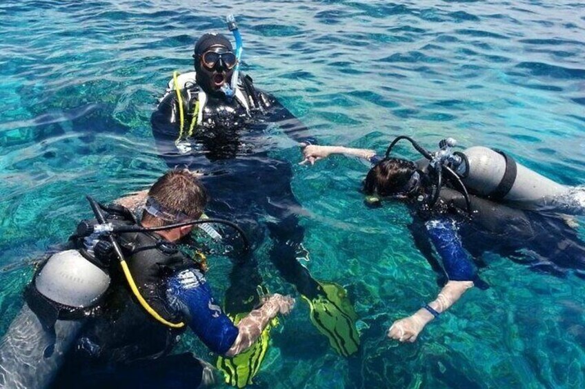 Bodrum Scuba Diving Tour With Free Hotel Transfer By Locals