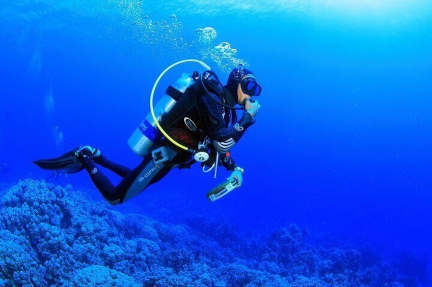 Bodrum Scuba Diving Tour With Free Hotel Transfer By Locals