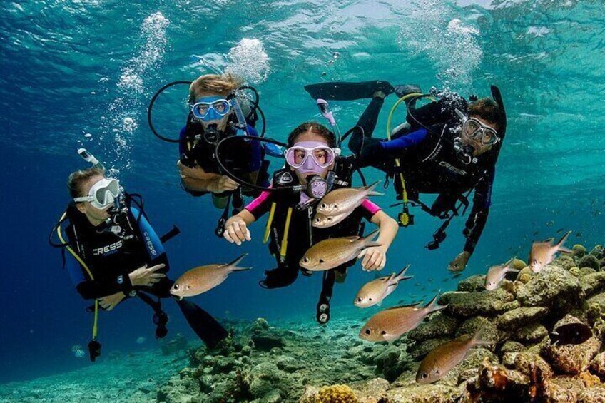 Bodrum Scuba Diving Tour With Free Hotel Transfer By Locals