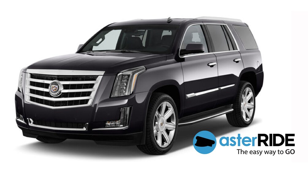 Cargar ítem 1 de 1. private SUV transportation