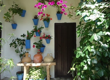 科爾多瓦：庭院和鮮花私人徒步之旅