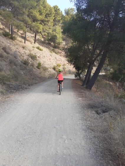 Picture 5 for Activity Málaga: 3-Hour E-Bike Tour of Montes de Malaga Natural Park