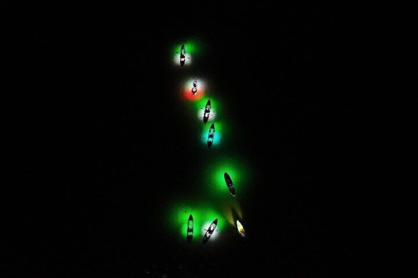 Night Mangroves LED Tour on a Glass Bottom Kayak