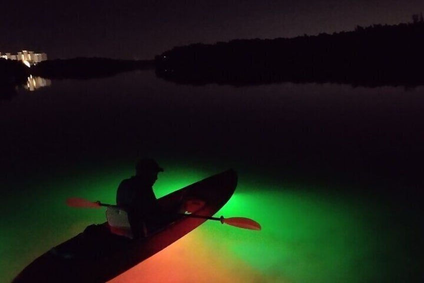 Night Mangroves Forest Tour on a Glass Bottom Kayak