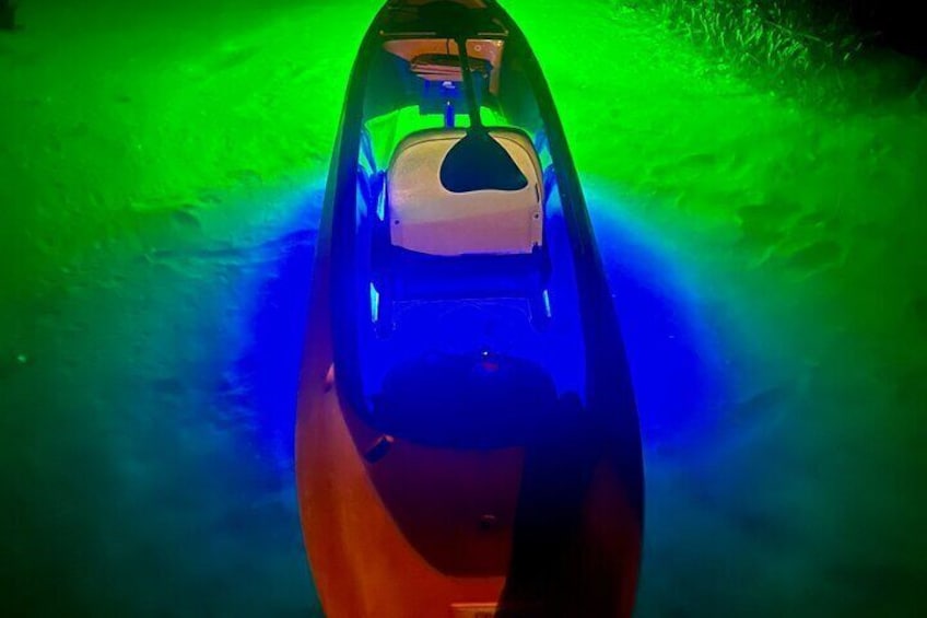 Night Mangroves Forest Tour on a Glass Bottom Kayak