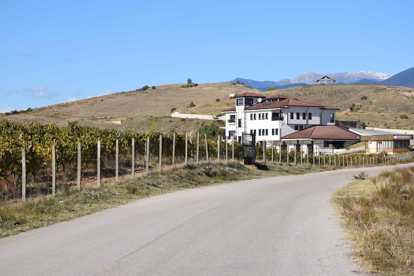 Picture 2 for Activity Melnik Wine Tour