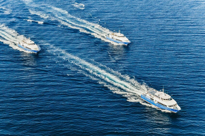 Picture 4 for Activity From Nice: Round-Trip Transportation to Saint Tropez by Boat