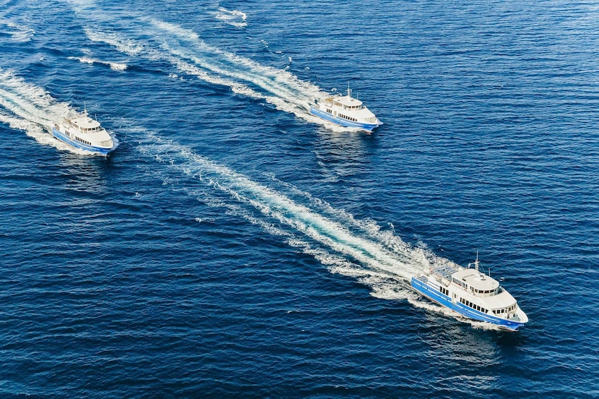 Picture 4 for Activity From Nice: Round-Trip Transportation to Saint Tropez by Boat