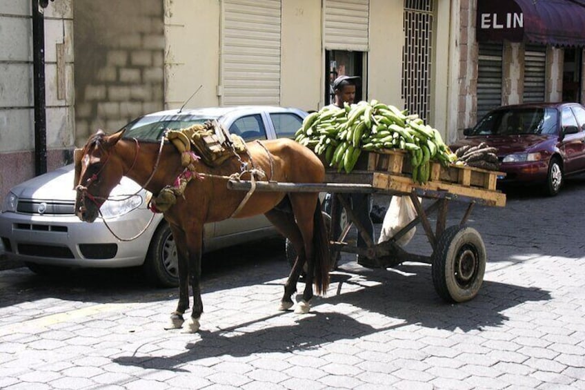 Santo Domingo Walking Tour for the Whole Family