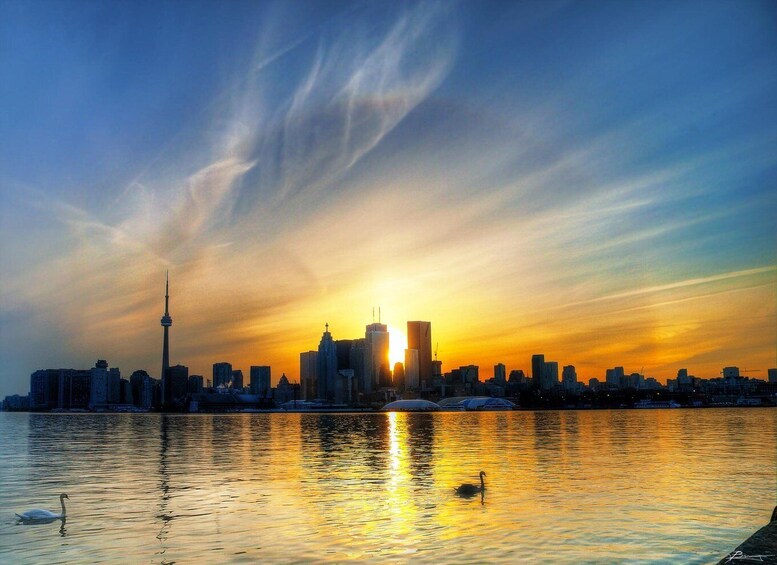 Picture 11 for Activity Toronto: Sailing Yacht Cruise of Toronto Harbor and Islands
