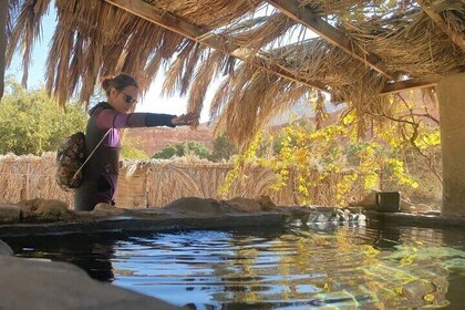 Coloured, Closed, Hamata, White, Canyons, and Khudra Spring Oasis