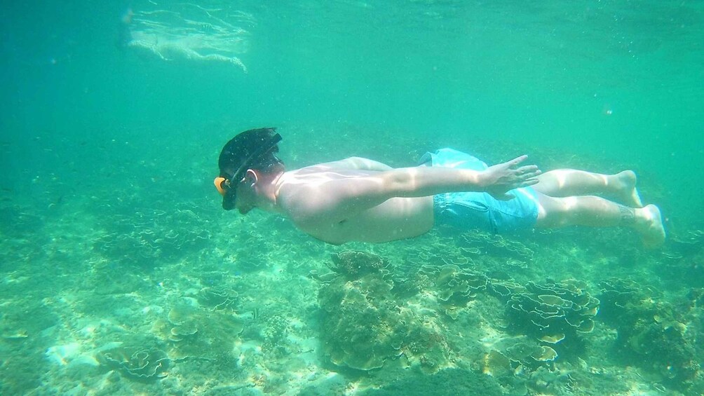 Picture 14 for Activity Krabi: Freediving and Snorkeling at Yawasam and Talu Island