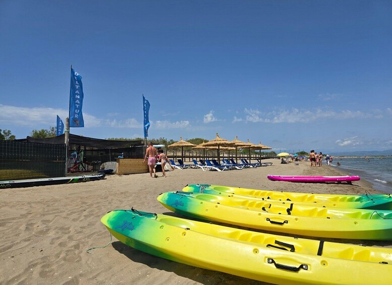 Picture 4 for Activity Ebro Delta National Park: Scenic Drive and Kayaking Tour