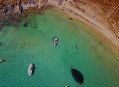 Crociera in barca privata a Delos e all'isola di Rhenia