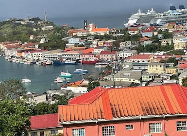 Grenada: Halbtägige Inselrundfahrt mit Badestopp im Wasserfall