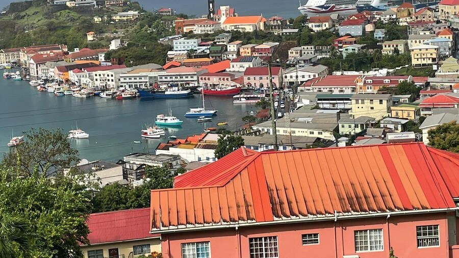 Grenada: Half-Day Island Tour with Waterfall Swim Stop
