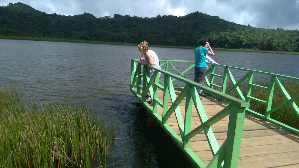 Picture 5 for Activity Grenada: Half-Day Island Tour with Waterfall Swim Stop