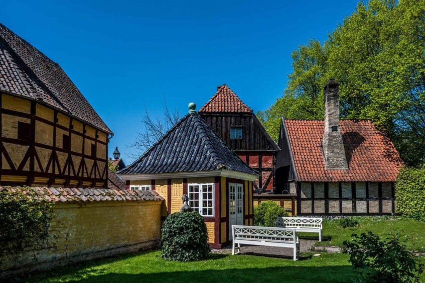 Picture 2 for Activity Aarhus: Insta-Perfect Walk with a Local