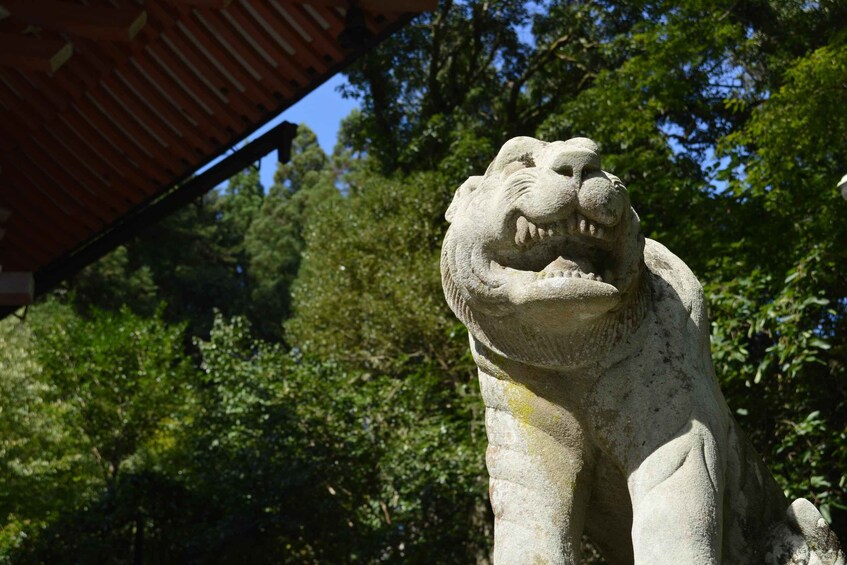 Picture 9 for Activity Hike the Mystic Northern Mountains of Kyoto