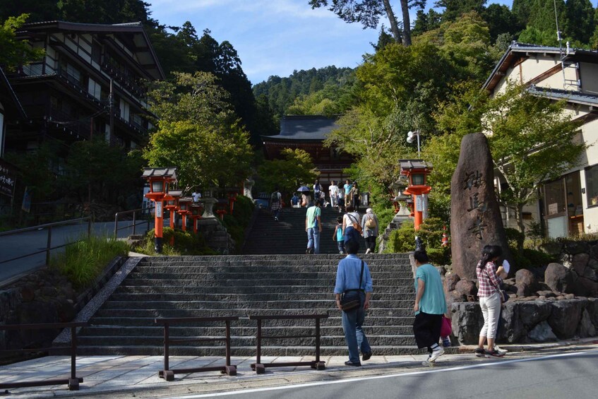 Picture 7 for Activity Kyoto: Mystic Northern Mountains Guided Hike