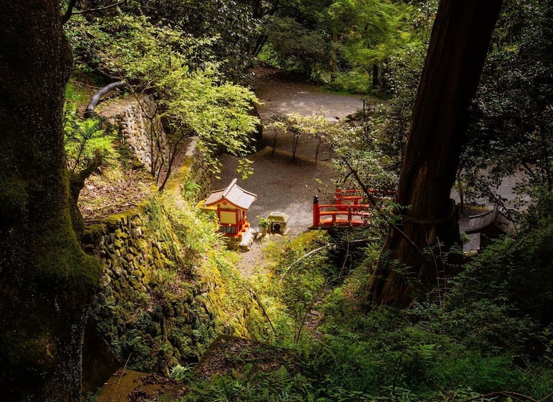 Picture 7 for Activity Kyoto: Hike and Hot Springs in Kurama