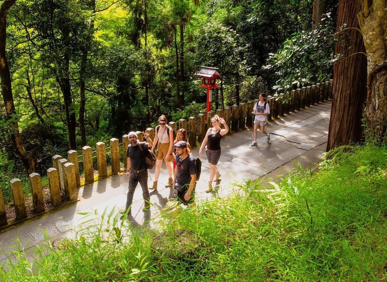 Picture 1 for Activity Kyoto: Hike and Hot Springs in Kurama