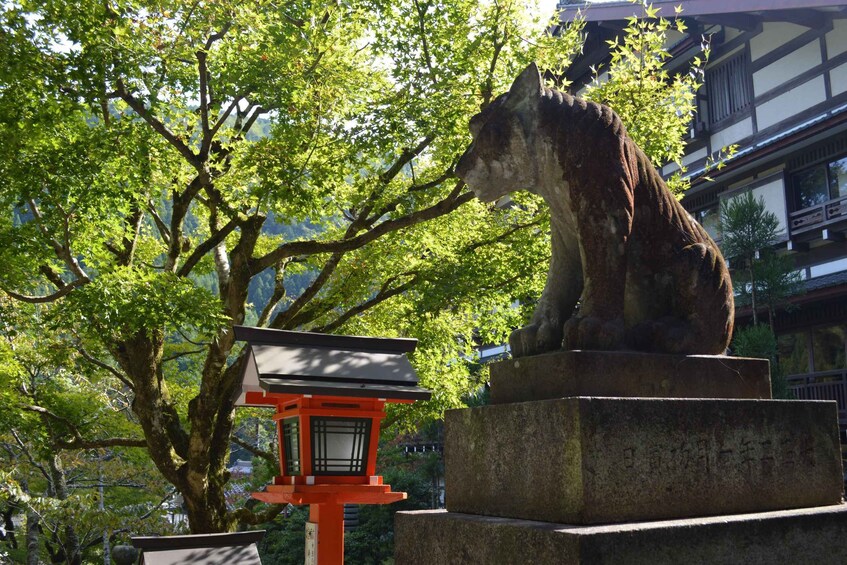 Picture 8 for Activity Hike the Mystic Northern Mountains of Kyoto