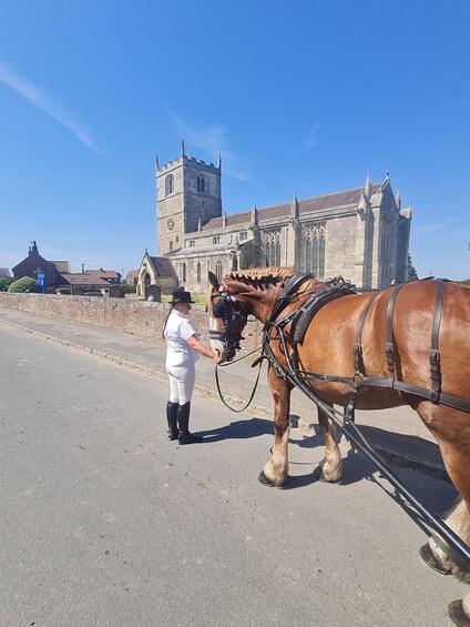 Picture 2 for Activity York: Horse Drawn Carriage Ride Around the Countryside York