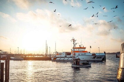 Kiel: recorrido exprés a pie por lo más destacado de la ciudad con un lugar...