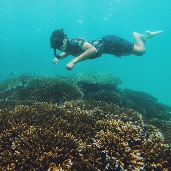 Picture 9 for Activity Krabi: Phi Phi Islands Speedboat Tour with Buffet Lunch