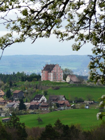 Picture 5 for Activity Konstanz: Express Walk with a Local in 60 minutes