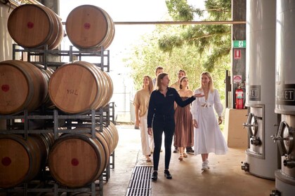 Winery Tour & Tasting with 3-Course Lunch on Tuscan Terrace